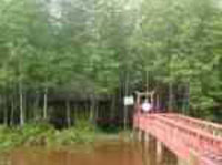 Description: http://camauairport.vn/userfiles/image005.jpg